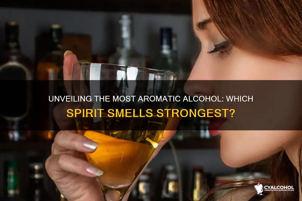 which alcohol has the strongest scent