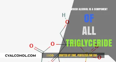 Unveiling the Alcohol Component in Triglycerides: A Molecular Insight