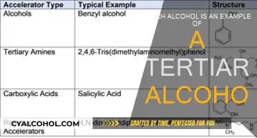 Tertiary Alcohol: What Drink Fits the Bill?