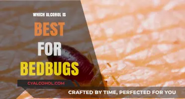 Effective Alcohol Solutions to Eliminate Bedbugs: A Comprehensive Guide