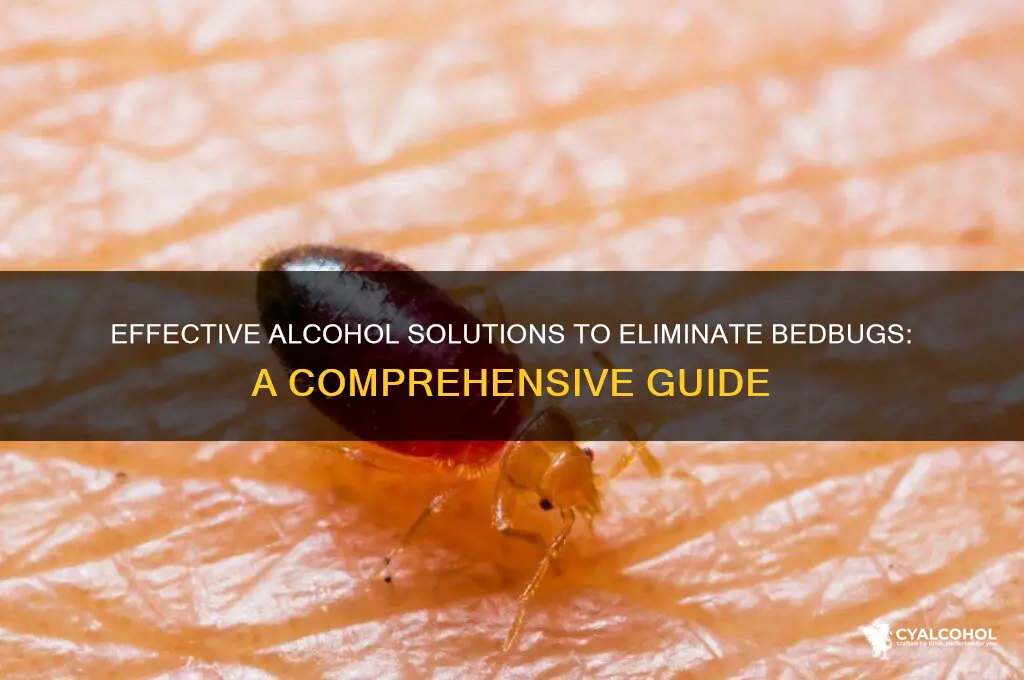which alcohol is best for bedbugs