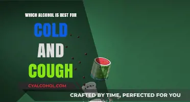 Best Alcohol Remedies for Cold and Cough: A Warming Guide