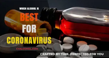 Alcohol and COVID-19: Debunking Myths and Exploring Safe Consumption Practices