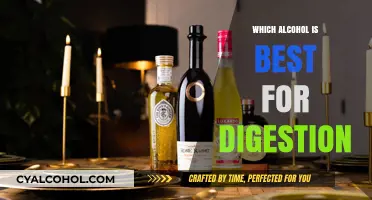 Digestive Spirits: Best Alcohol Choices for Healthy Digestion Explained