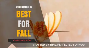 Cozy Autumn Sips: Best Fall-Inspired Alcoholic Drinks to Try