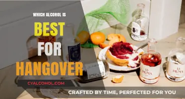 Best Alcohol Choices to Minimize Hangover Symptoms and Recovery Time