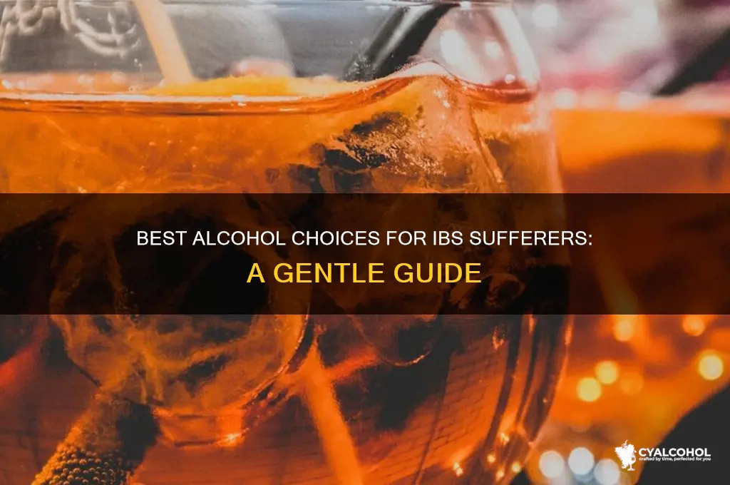 which alcohol is best for ibs