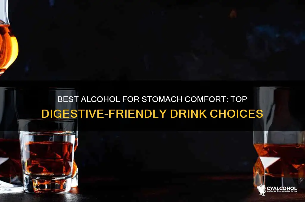 which alcohol is best for stomach
