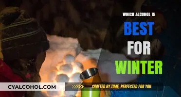 Warm Winter Nights: Top Alcohol Picks to Cozy Up With