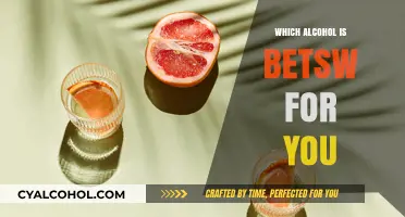 Healthiest Alcohol Choices: What to Drink for Better Well-Being
