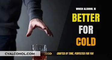 Best Alcoholic Drinks to Soothe Cold Symptoms: A Warming Guide
