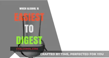Digestive-Friendly Spirits: Discover the Easiest Alcohol to Digest