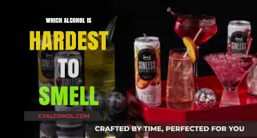 Hard-to-Detect Alcohol: Which Spirits Leave the Faintest Scent?