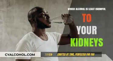 Kidney-Friendly Alcohol Choices: Which Drinks Are Least Harmful?