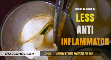 Anti-Inflammatory Alcohol Choices: Which Drinks Reduce Inflammation Best?