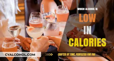 Low-Calorie Alcohol Options: Sip Smart Without Sacrificing Flavor