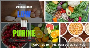 Low-Purine Alcohol Guide: Best Drinks for Gout-Friendly Enjoyment