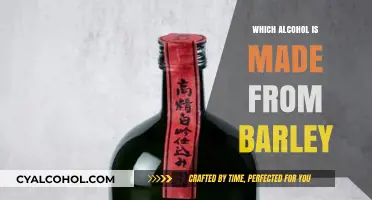 Barley-Based Brews: Exploring Alcoholic Beverages Crafted from Barley Grains