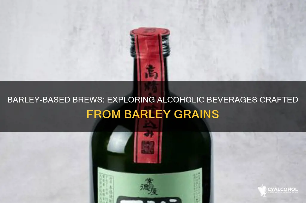 which alcohol is made from barley