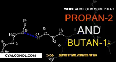 Polarity in Alcohols: Propan-2-ol vs Butan-1-ol