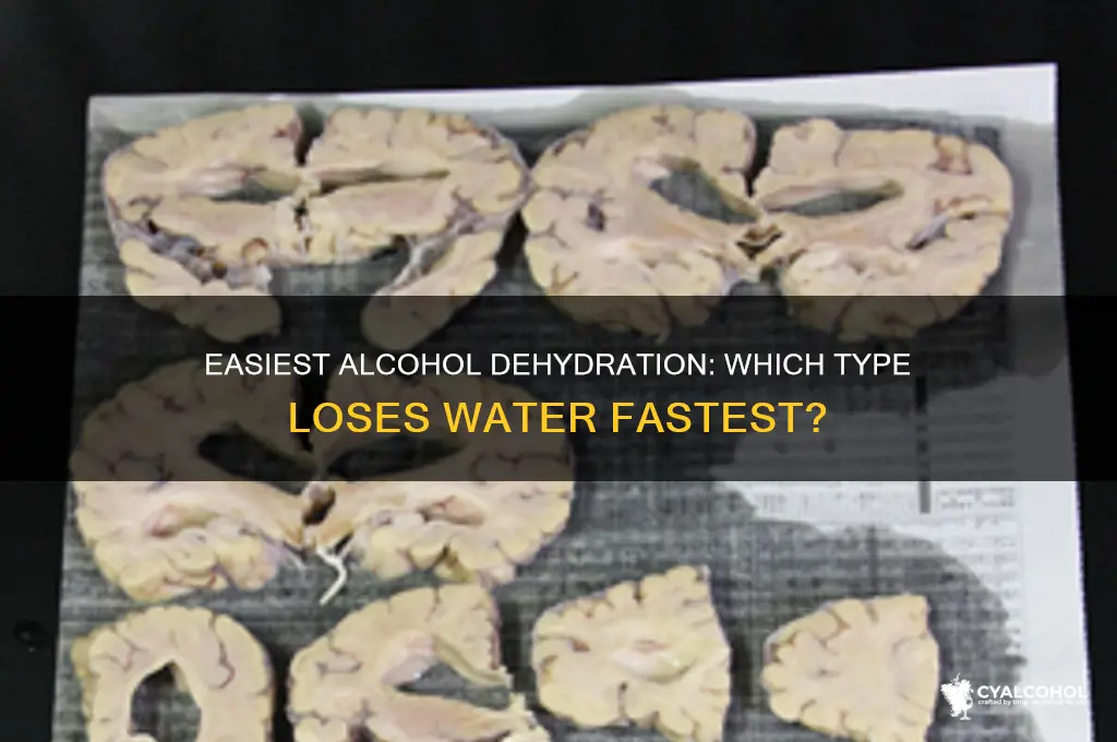 which alcohol is most easily dehydrated