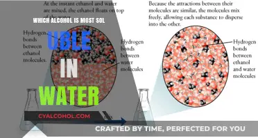 Exploring Alcohol Solubility: Which Alcohol Mixes Best with Water?