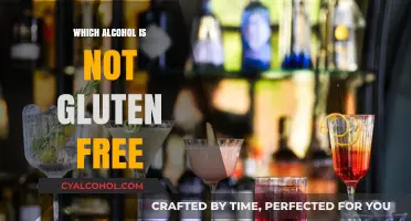 Gluten-Free Alcohol Guide: Which Drinks to Avoid for Celiac Safety