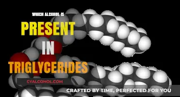 Understanding the Role of Alcohol in Triglyceride Composition and Function