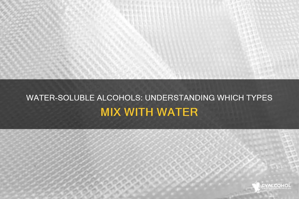 which alcohol is soluble in water