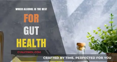 Boost Gut Health: Top Alcohol Choices for a Happy Digestive System