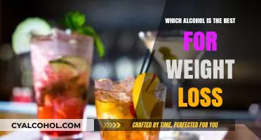 Healthy Drinking: Top Alcohol Choices for Weight Loss Goals