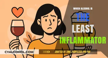 Discover the Least Inflammatory Alcohol Options for Healthier Choices