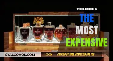 The World's Priciest Pour: Exploring the Most Expensive Alcohol