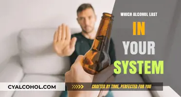 How Long Does Alcohol Stay in Your System? A Comprehensive Guide