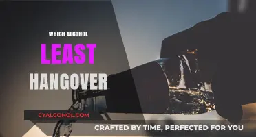 Discover the Alcohol with the Least Hangover Impact