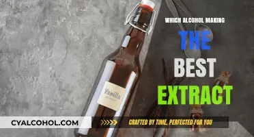 Best Alcohol for Extracts: Top Spirits to Elevate Your Infusions