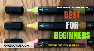 Best Alcohol Markers for Beginners: Top Picks to Start Creating