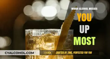 The Most Intoxicating Alcohol: Which Drinks Hit Hardest and Fastest?