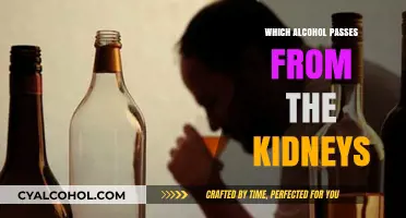 How Alcohol Metabolism Affects Kidney Function and Urinary Excretion