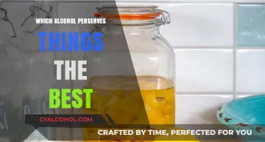 Best Alcohol for Preservation: Top Choices for Long-Lasting Results