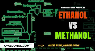 Ethanol vs Methanol: Understanding Alcohol Production Differences