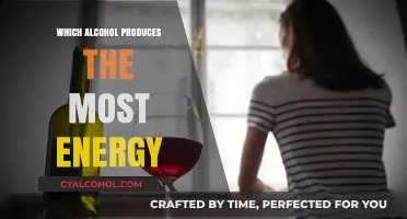 Maximize Your Energy: Which Alcoholic Drink Burns Calories Best?