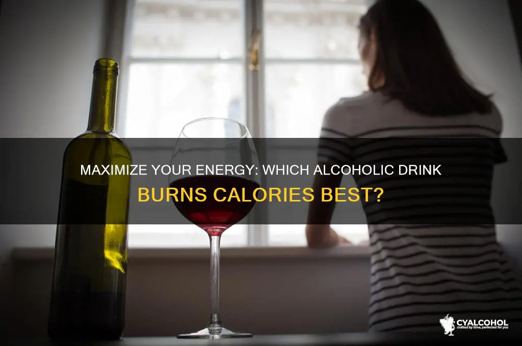 which alcohol produces the most energy