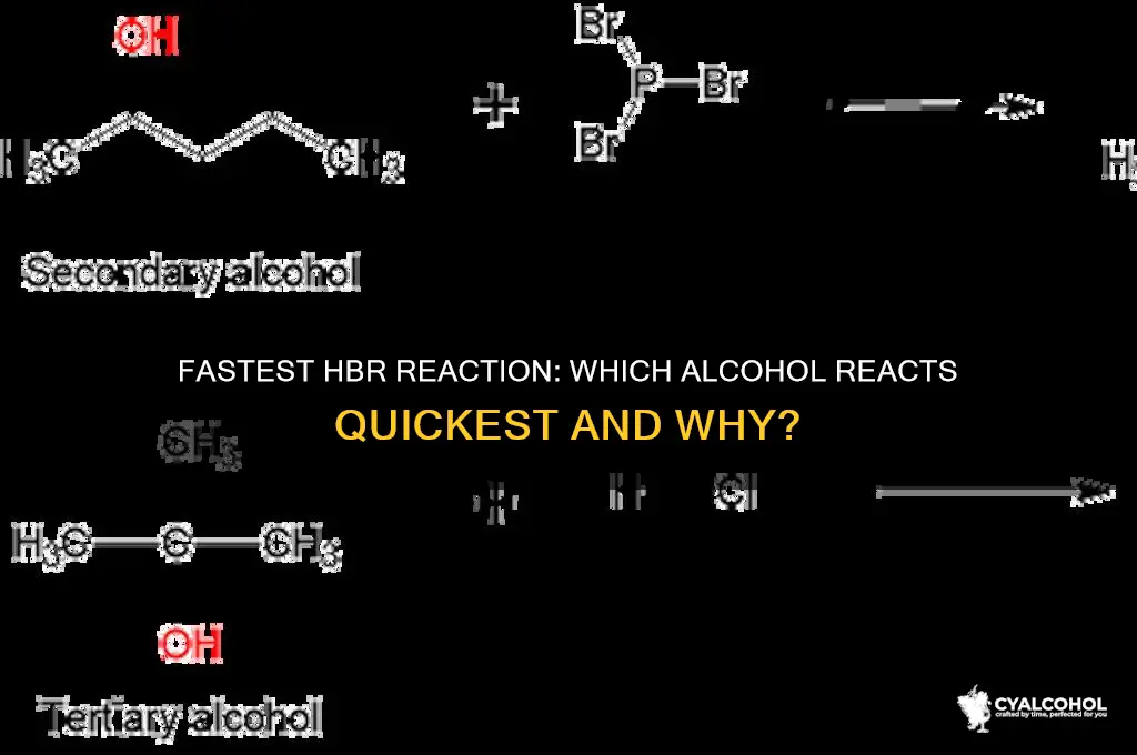 which alcohol reacts fastest with hbr