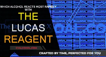 Lucas Reagent: Which Alcohol Reacted the Quickest?