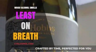 Best Low-Odor Alcohol Options: Minimizing Breath Smell After Drinking