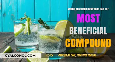 Unveiling the Healthiest Alcoholic Drink: Richest in Beneficial Compounds