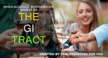 Best Alcoholic Drinks for a Happy Gut