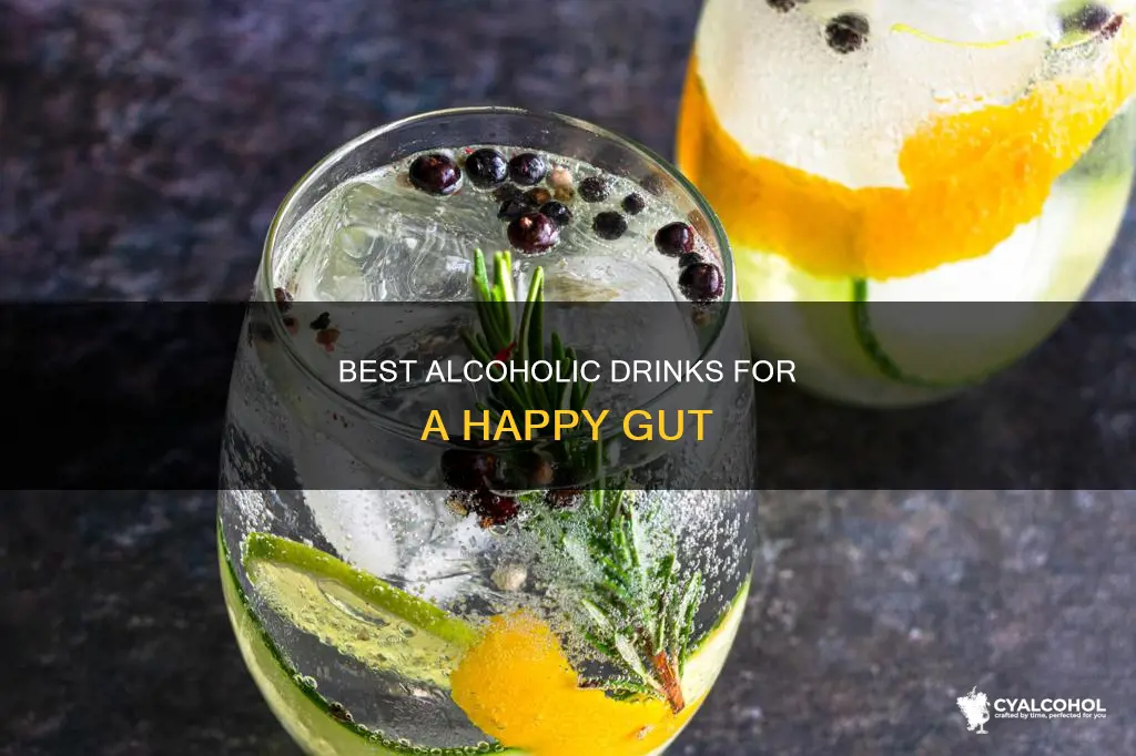 which alcoholic beverages are easiest on the gi tract