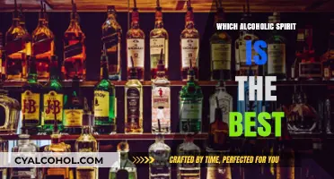 The Ultimate Guide to Choosing the Best Alcoholic Spirit